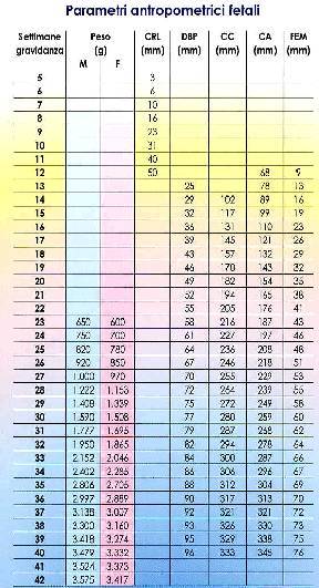tabella parametri biometrici fetali